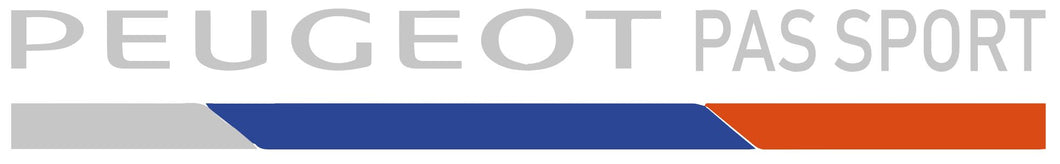 PEUGEOTPASSPORT01